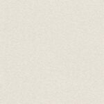 PORSCHE AP2000 96069-2