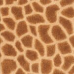 AFRICAN QUEEN 422801