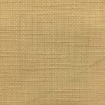 ARTE X (10) - BRAGG COL: CODY-1