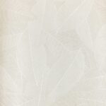 CONNOISSEUR - MN1116