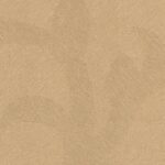 CONNOISSEUR - MN1124