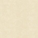 CONNOISSEUR - MN1130