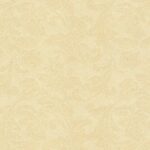 CONNOISSEUR - MN1132