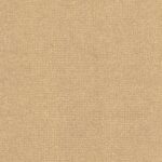 CONNOISSEUR - CN1167