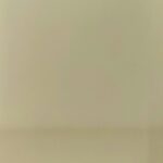 AVILA CARNATION COL: WHITE