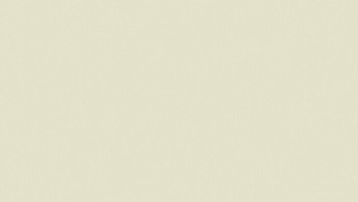 GNI AVENUE 2021/22 77289-9 - Image 2