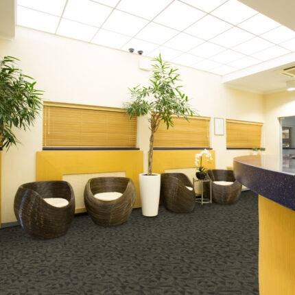 M098-2-paradigm-azure