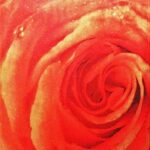 METALLIC & CHARM GCA701