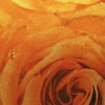 METALLIC & CHARM GCA702