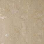 MORITZ-SHEERS 1 - 8118 COL: CHAMPAGNE