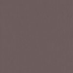 PLAISIR 2016- 723908