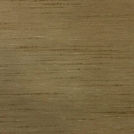 SHIMMER-829703 SHIMMER-829703