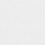 SPECIAL SENSITIVE STYLE VOL.1 10024-1