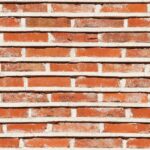 STONE THERAPY 53102-1