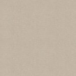 STELLA II  - 10169-4