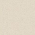 STELLA II  - 10173-3