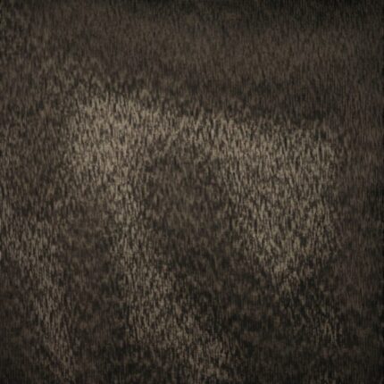 Snow-Black Snow-Black
