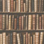 VIRTUAL REALITY F923-38