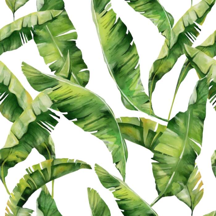 Digital Print Leaves Tropical Plant Palm Summer Exotic-5329790 Digital Print Leaves Tropical Plant Palm Summer Exotic-5329790