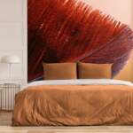 Feather Bird Avian Nature Outdoor Wallpaper HD 5272833