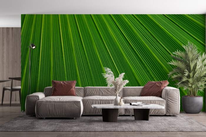 Leaf Plant Background Palm Green Lines Texture 21851 Leaf Plant Background Palm Green Lines Texture 21851