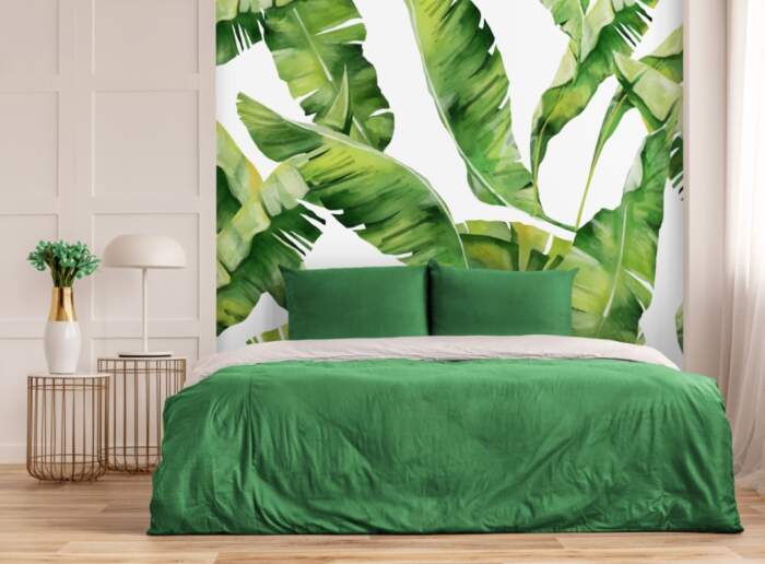 Leaves Tropical Plant Palm Summer Exotic-5329790-1 Leaves Tropical Plant Palm Summer Exotic-5329790-1