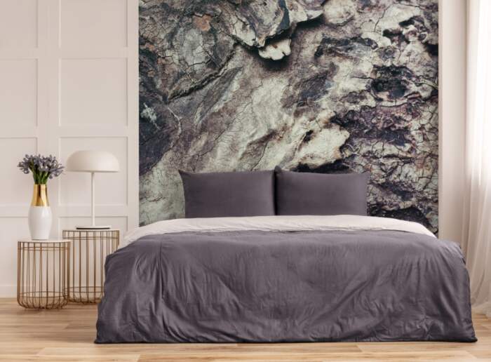 Nature Texture Wood Bark Rough Wooden Material-1845974-1 Nature Texture Wood Bark Rough Wooden Material-1845974-1