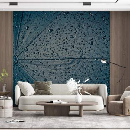 Rain Screen Umbrella Raindrop Wet Weather 3443977