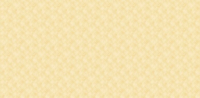 SEQ-88567-2 SEQUENCE 88567-2 - Image 1