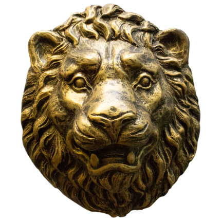 LION20ABpng LION20ABpng