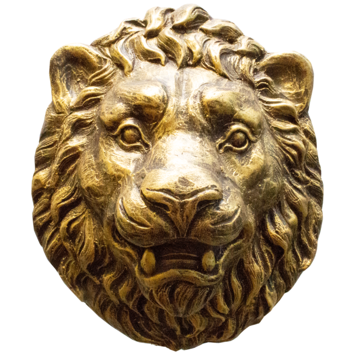 LION20AGpng LION20AGpng
