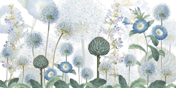 Blue20Wild20Meadowjpg Blue20Wild20Meadowjpg
