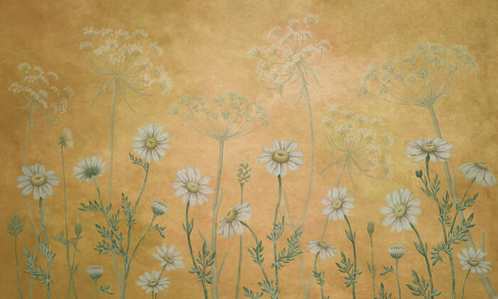 Dazzling20Daisies20-20Yellowjpg Dazzling20Daisies20-20Yellowjpg