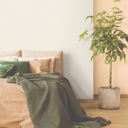 KARA21-2302-2-KARA21-2302-5-lithos