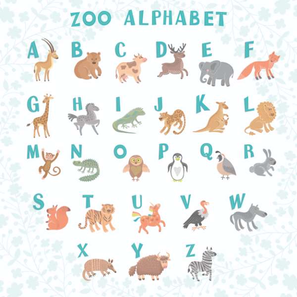 Alphabet Funny cartoon animals Letters Learn to read Zoo 68631041 ...