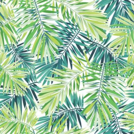 Bright20green20background20with20tropical20plants20Seamless20vector20exotic20pattern20with20phoenix20palm20leaves2073330859.jpg