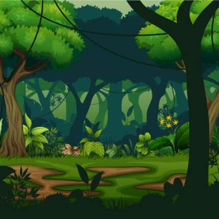 Dark20Rainforest20WIth20Trees20Background20141676581.jpg