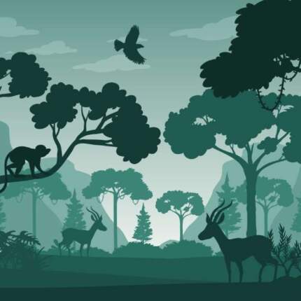Silhouette20Forest20Green20Deer20Bird20Monkey20Landscape20Vector20Background20Illustration20176224478.jpg