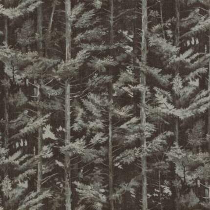 BALSHAM-BARK.jpg BALSHAM-BARK.jpg