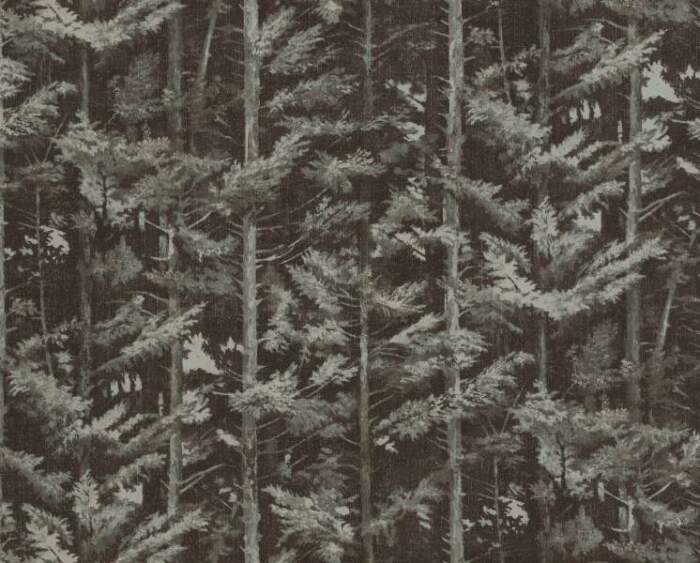 BALSHAM-BARK.jpg BALSHAM-BARK.jpg