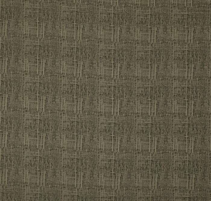 DOLLY-FERN.jpg DOLLY FERN - Image 1