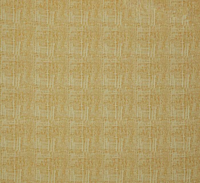 DOLLY-MIMOSA.jpg DOLLY MIMOSA - Image 1