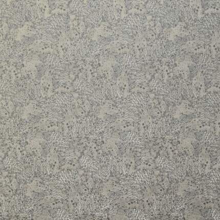 DOLOMITE-FOSSIL.jpg DOLOMITE-FOSSIL.jpg