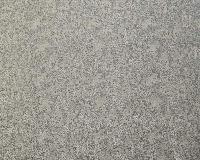 DOLOMITE-FOSSIL.jpg DOLOMITE-FOSSIL.jpg