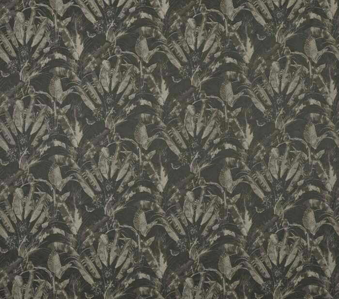 JOSIAH-FERN.jpg JOSIAH FERN - Image 1