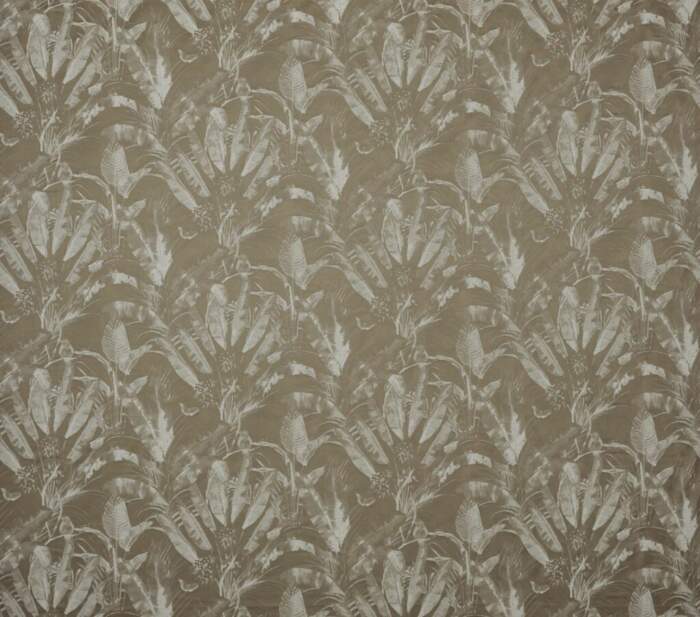 JOSIAH-OLIVE.jpg JOSIAH OLIVE - Image 1