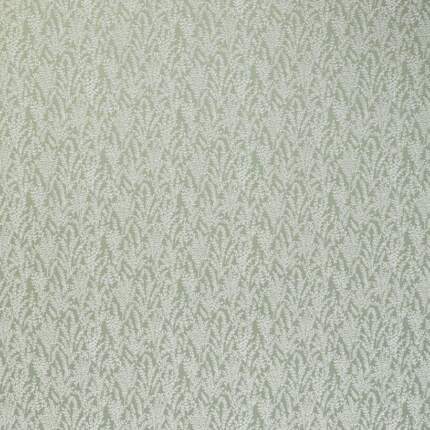 KAMIKO-SAGE.jpg KAMIKO-SAGE.jpg