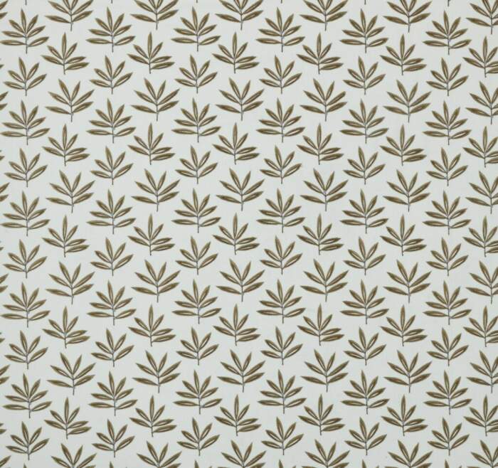 MARTHA-OLIVE.jpg MARTHA OLIVE - Image 1