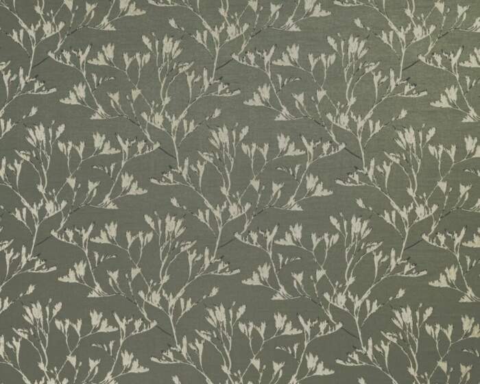 RHONE-SAGE.jpg Rhone Sage - Image 1