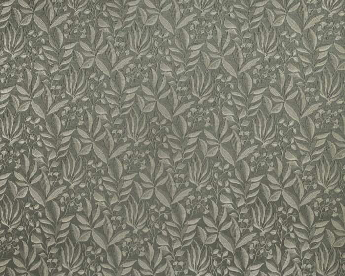 SEMILLION-SAGE.jpg Semillion Sage - Image 1